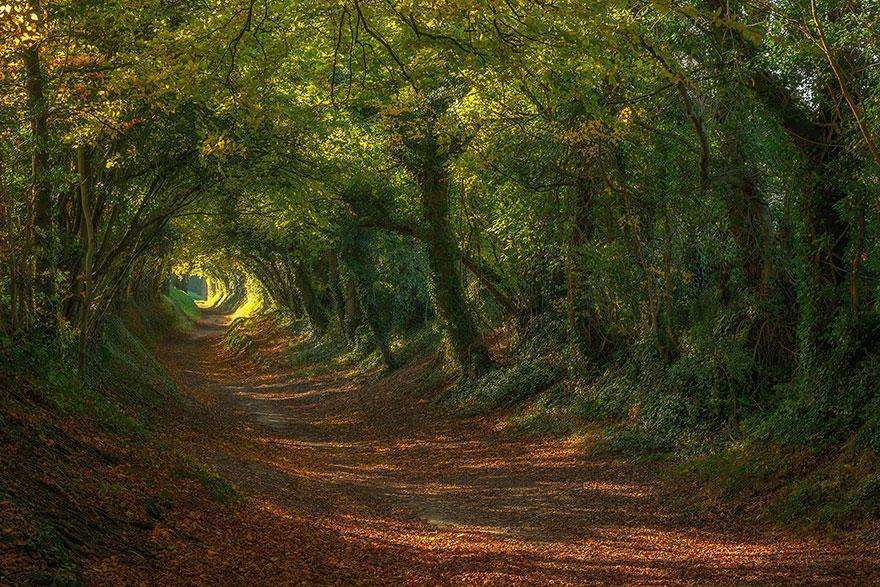 Sussex- Inglaterra Sussex- Inglaterra