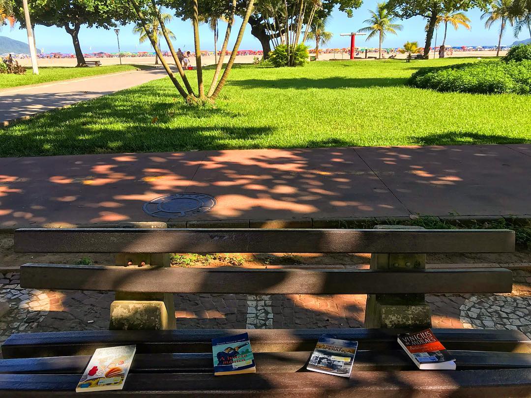 58409522_188898098758298_3063970512056068232_n Leitura no Vagão