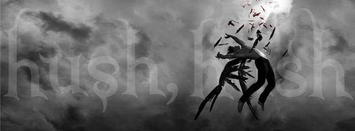 livros de fantasia com muito romance, Hush Hush livros de fantasia com muito romance, Hush Hush